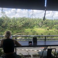 Stunning view, road noise though, but not too bad   at by Cafe in Tegallalang