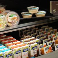 Salads, hummus, soymilk and pudding at Lipsius Kantine  in Leiden