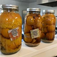 Salted oranges at Lala's Jam Bar and Urban Farmstand in Petaluma