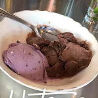 Izzy’s Vegan Blueberry and vegan chocolate ice cream  at Fig + Farro in Minneapolis