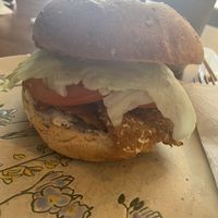 VLT  at Terra Cafe in Monroe