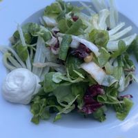 Insalata valeriana con finocchi, uva sultanina e maionese veg  at Apriti Sesamo Cucina Naturale Bioenegetico in Parma