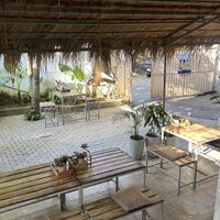   at Shady Lane in Mirissa