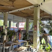   at Shady Lane in Mirissa