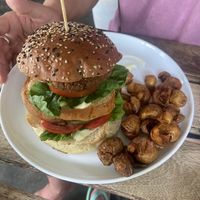   at Shady Lane in Mirissa