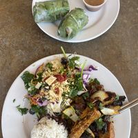 Spring rolls + spicy lemongrass at The Sun Vegan in Fountain Valley