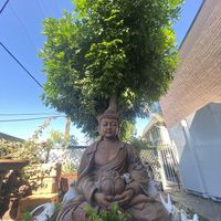 outdoor at The Sun Vegan in Fountain Valley