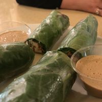 Spring rolls at The Sun Vegan in Fountain Valley