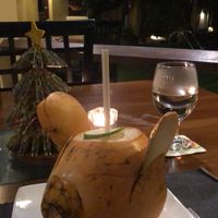 Cocopig  at Koththamalli by Rohan in Negombo