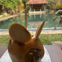 King Coconut 🐭  at Koththamalli by Rohan in Negombo
