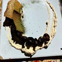  #Veganuary at Donnet in Buenos Aires