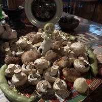   at Donnet in Buenos Aires