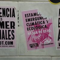 . at Donnet in Buenos Aires