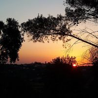 The pure nature around Casa Divina, surrounded by beautiful views, enchants you with its silence and magic. at Casa Divina in Pisa