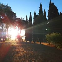 The pure nature around Casa Divina, surrounded by beautiful views, enchants you with its silence and magic. at Casa Divina in Pisa