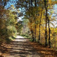 The pure nature around Casa Divina, surrounded by beautiful views, enchants you with its silence and magic. at Casa Divina in Pisa