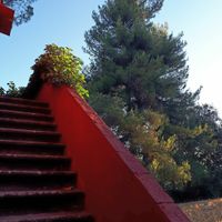 Casa Divina is a beautiful country house, immersed in a forest of amazing pine trees, and ancient olive trees.
Located on a hill-top, in the silent, quiet Tuscan countryside, it is the perfect destination for relaxing and inspiring holidays. at Casa Divina in Pisa
