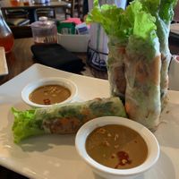 Vegan spring rolls at Old Saigon Cafe in Houston