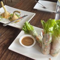 Artichokes, Vegetable Spring Rolls vegan style   at Old Saigon Cafe in Houston