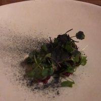 9 at Alchemilla in Nottingham