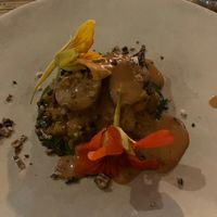  at Alchemilla in Nottingham