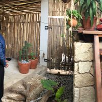 From the inside  at Fruto Mistico in Tulum