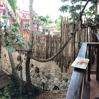 Panoramic at Fruto Mistico in Tulum