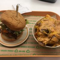 Bleu bbq and special fries at Next Level Burger - Brooklyn in Brooklyn