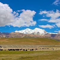 Tibet Tour at Veggie Nepal in Kathmandu