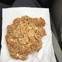 Vegan peanut butter cookie (very yummy)  at Copeka Coffee in Grand Junction