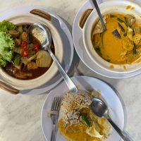 ✅32 瓦煲银丝杏鲍菇 Claypot Glass Noodle Fried with King Mushroom RM30
✅48 咖喱杂菜 Curry Mix Vegetable RM25
✅111 糙米饭（小）Brown Rice RM2
 at V Kitchen Restaurant in Petaling Jaya