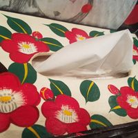 Komurasaki tissue box- everything has Kumamon on it at Shin-Yokohama Ramen Museum in Yokohama