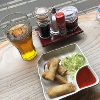 Spring rolls at Sumo Noodle Cafe in Falkirk