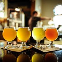 True-to-style craft beer for your tasting pleasure!  at Salt Springs Brewery in Saline