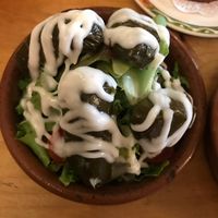 Vine leaves at Tapas Tree in Bradford