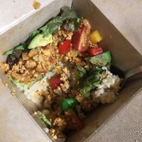 Takeaway “mince” rice  at Vegetable Cafe Mahaloha in Tatebayashi