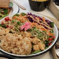 salad bowl at Eight - The Health Lounge in Lisbon