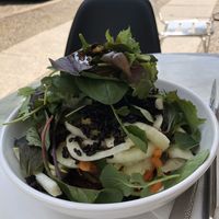 Healthy fennel salad at Superfoods & Organic Liquids - Schluterstrasse in Berlin