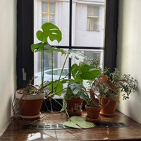   at Střecha in Prague