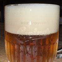   at Střecha in Prague