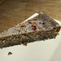   at Střecha in Prague