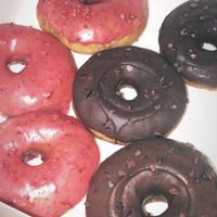 Vegan donuts at Bakkerij Van Planten in Tilburg