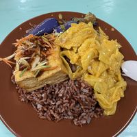 Mixed veg rice  at Jian Kang Zhai 健康斋 in Central Singapore