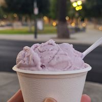  at Nature's Organic Ice Cream in Fremont