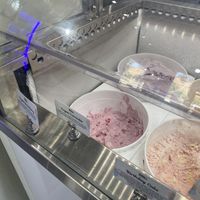 Vegan Options Clearly Labeled  at Nature's Organic Ice Cream in Fremont