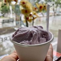 Vegan Lavender Ice Cream (Single Scoop) at Nature's Organic Ice Cream in Fremont