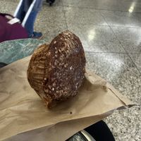 Absolutely terrible muffin that tastes like a cross between dirt and gingerbread   at SEA - Floret in Seattle