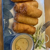 Spring Rolls Starter   at Home Cafe Tha Tian in Bangkok