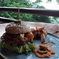  at Casa Loma in Minca