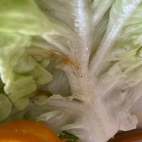   at In Guter Gesellschaft in Hamburg